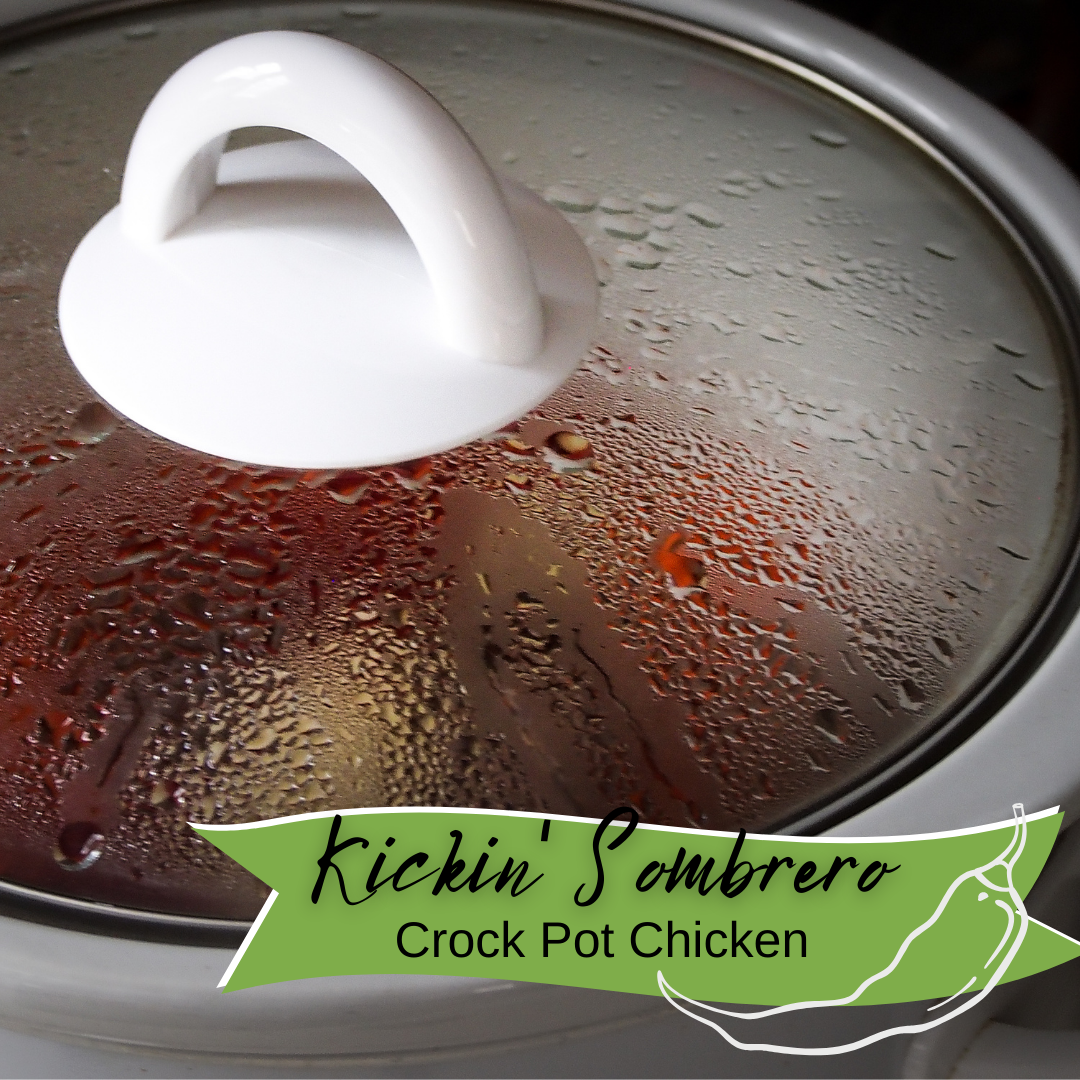 crock pot lid